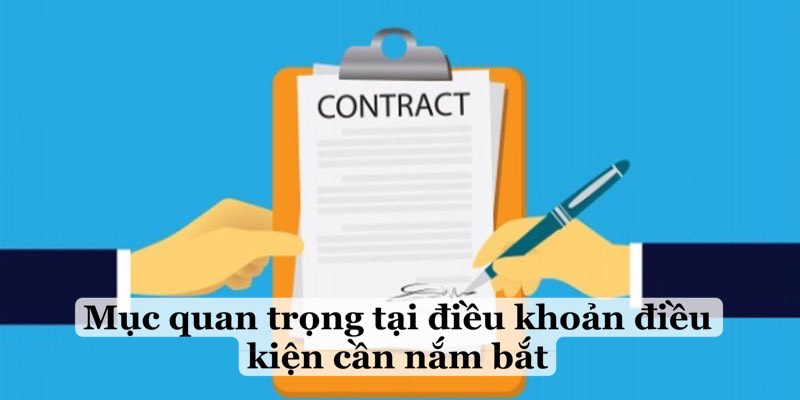 Mục quan trọng tại điều khoản điều kiện cần nắm bắt